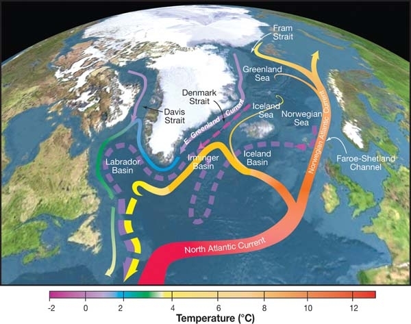 Three-dimensional view of the North Atlantic showing named currents that make up the conveyor: the North Atlantic Current and Norwegian Atlantic Current carrying warm surface water north (red and orange arrows), the East Greenland Current and overflows through the Denmark Strait carrying cold deep water south (blue and yellow arrows), and the Labrador, Irminger and Iceland basins labelled as the basins where sinking happens.